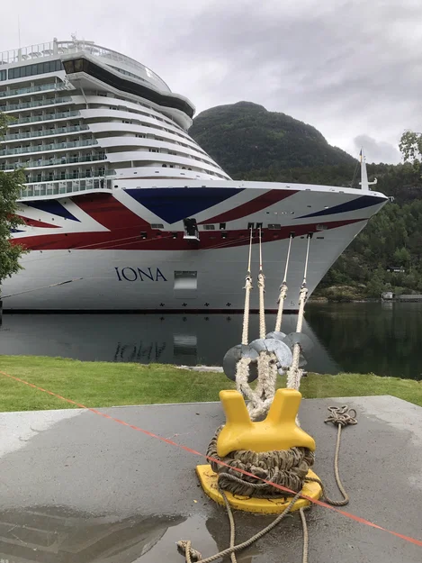 Tàu du lịch P&O Cruise Ship Iona (tỉ lệ 1:500) – in nhiều phần, đa màu - Image 13