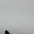 Máy bắn đá Euler Catapult - Thumbnail 3