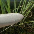 Đầu Cắm Tưới Cây Dùng Chai PET (PET-Bottle Irrigation Spike) - Thumbnail 3