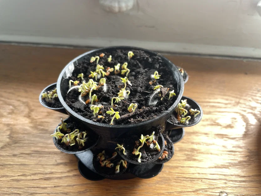 Chậu Trồng Cây Nhiều Ngăn kèm Đế Lót (Multi Pot with Pot Coaster) - Image 5