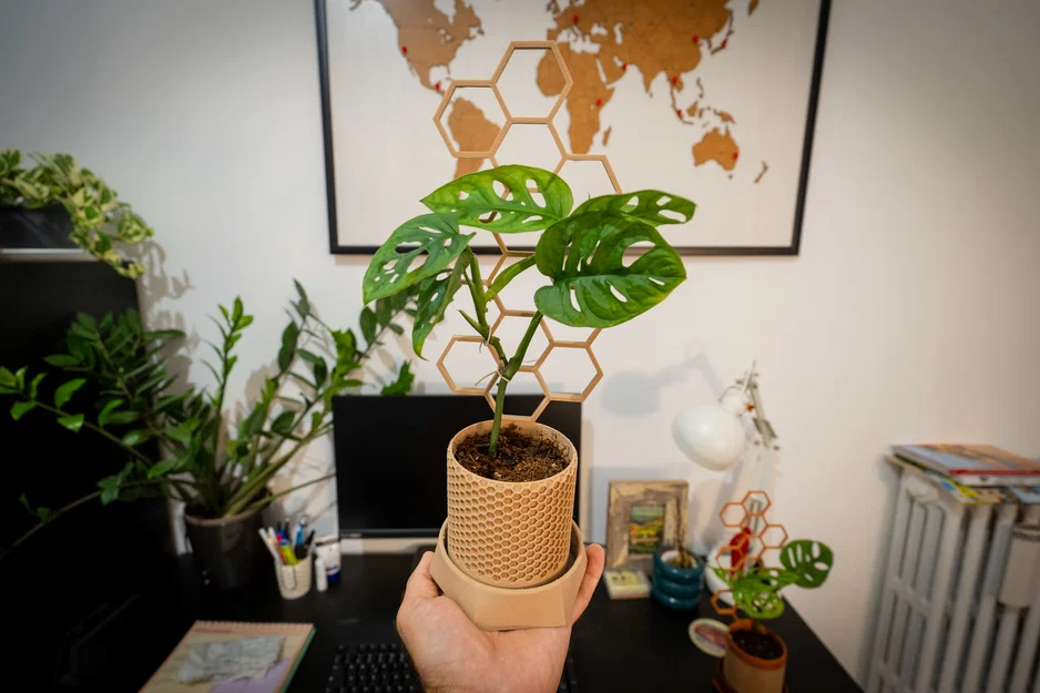 Chậu cây kèm giàn leo phong cách lục giác (Hexagonal style stand plant pot) - Image 1