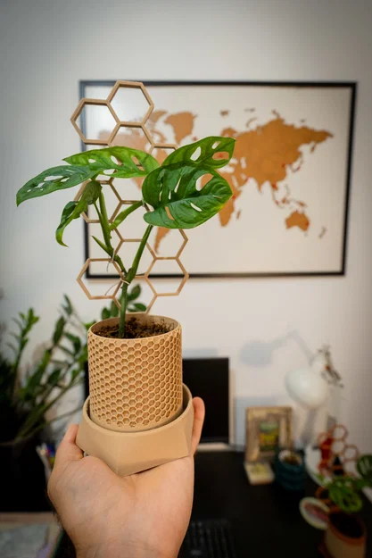Chậu cây kèm giàn leo phong cách lục giác (Hexagonal style stand plant pot) - Image 2