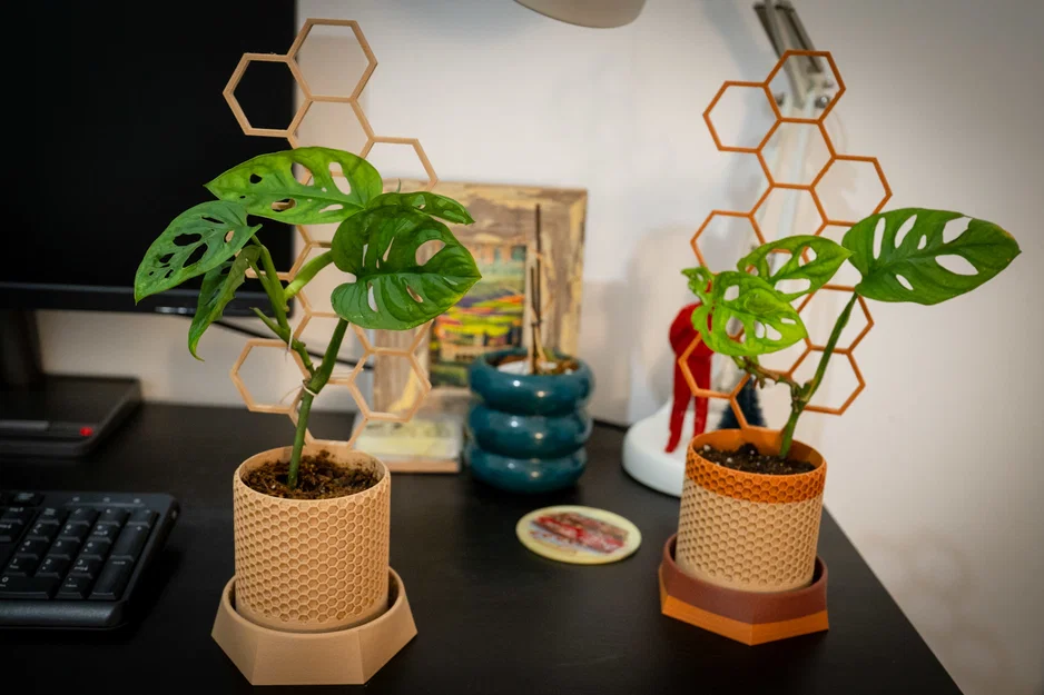 Chậu cây kèm giàn leo phong cách lục giác (Hexagonal style stand plant pot) - Image 3
