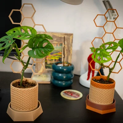 Chậu cây kèm giàn leo phong cách lục giác (Hexagonal style stand plant pot)