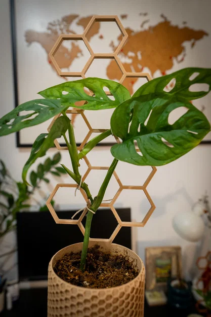 Chậu cây kèm giàn leo phong cách lục giác (Hexagonal style stand plant pot) - Image 4