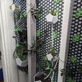 Hydroponic System for HSW – Hệ thống thủy canh nhỏ giọt dạng module - Thumbnail 1