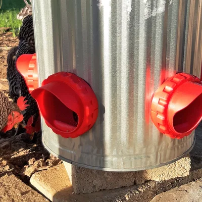 Máng ăn gà (Chicken Feeder) chống rơi vãi