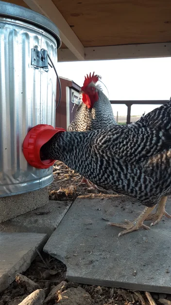 Máng ăn gà (Chicken Feeder) chống rơi vãi - Image 11