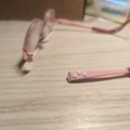 Gọng kính Tomato Kids B - Càng kính thay thế (Replacement Arms/Temples) - Thumbnail 9