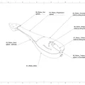 Alto Rebec – Mô hình nhạc cụ in 3D (Soundplate thay đổi được) - Thumbnail 8