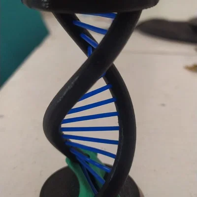 Đồ chơi fidget DNA (DNA Fidget Toy)
