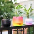 Chậu trồng cây xoắn ốc có thoát nước (vase mode) - Thumbnail 1