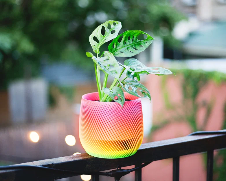 Chậu trồng cây xoắn ốc có thoát nước (vase mode) - Image 2