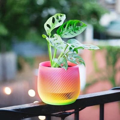 Chậu trồng cây xoắn ốc có thoát nước (vase mode)