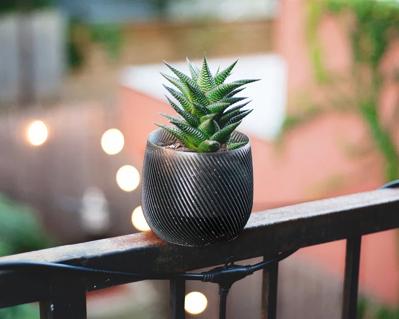 Chậu trồng cây xoắn ốc có thoát nước (vase mode) - Image 3