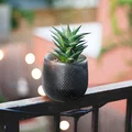 Chậu trồng cây xoắn ốc có thoát nước (vase mode) - Thumbnail 3