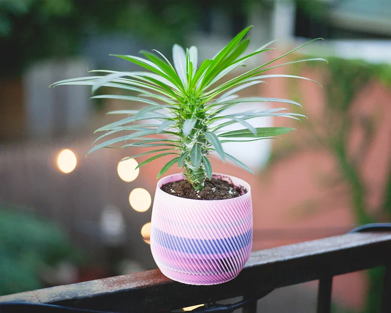 Chậu trồng cây xoắn ốc có thoát nước (vase mode) - Image 4