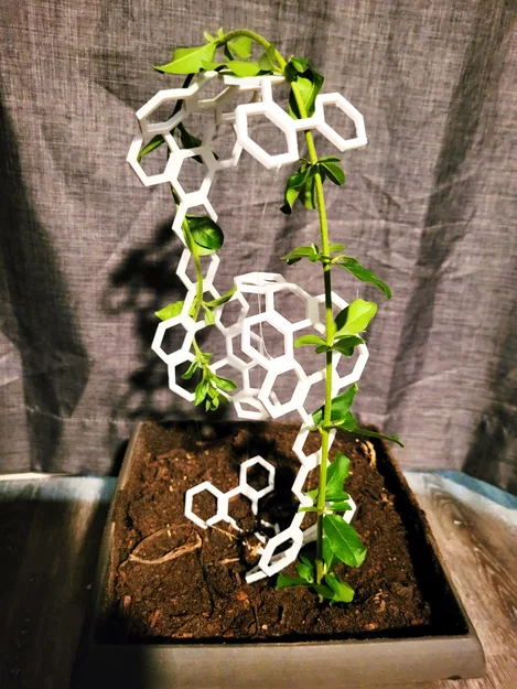 Plant Tensegrity – Giá đỡ cây kiểu Tensegrity - Image 1