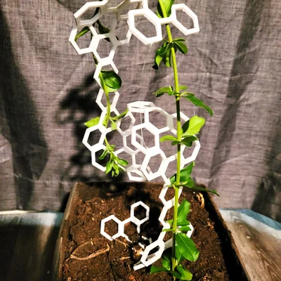 Plant Tensegrity – Giá đỡ cây kiểu Tensegrity