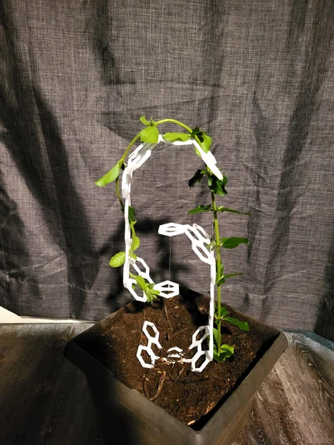 Plant Tensegrity – Giá đỡ cây kiểu Tensegrity - Image 2