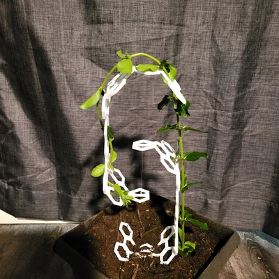 Plant Tensegrity – Giá đỡ cây kiểu Tensegrity
