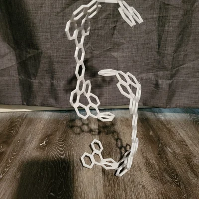 Plant Tensegrity – Giá đỡ cây kiểu Tensegrity