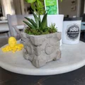Khuôn chậu sen đá Companion Cube - Thumbnail 1