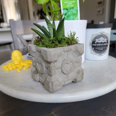 Khuôn chậu sen đá Companion Cube