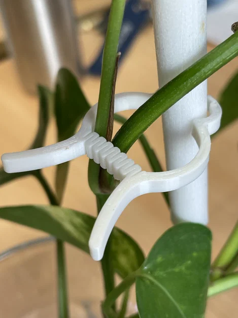 Kẹp Cây (Plant clip) - Image 2