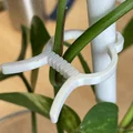Kẹp Cây (Plant clip) - Thumbnail 2