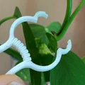 Kẹp Cây (Plant clip) - Thumbnail 3
