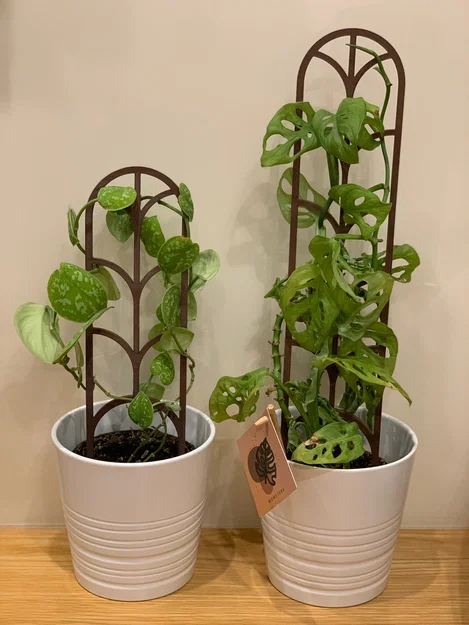 Giàn/khung đỡ cây dạng modular (Modular plant support / plant trellis) - Image 1