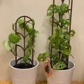 Giàn/khung đỡ cây dạng modular (Modular plant support / plant trellis) - Thumbnail 1