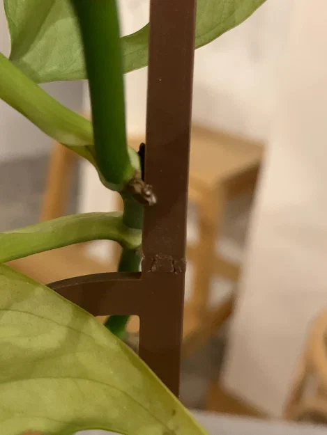 Giàn/khung đỡ cây dạng modular (Modular plant support / plant trellis) - Image 3