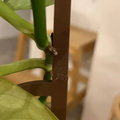 Giàn/khung đỡ cây dạng modular (Modular plant support / plant trellis)