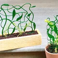 Giàn Leo Dây Leo Rối (Tangled Vine Trellis) - Thumbnail 1