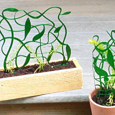 Giàn Leo Dây Leo Rối (Tangled Vine Trellis)
