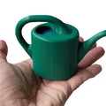 Bình tưới nước mini (Mini watering can) - Thumbnail 1