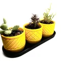 Bình hoa hình học (Geometric Vases) - Thumbnail 2