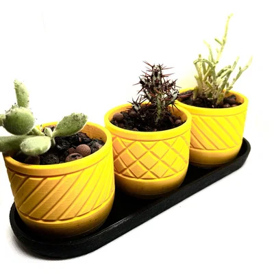 Bình hoa hình học (Geometric Vases)