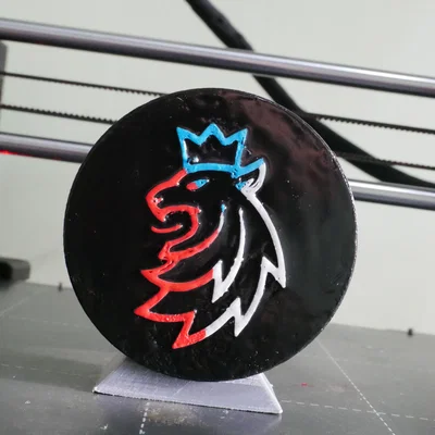 Mô hình quả bóng khúc côn cầu Czech Hockey Puck in 3D tinh xảo