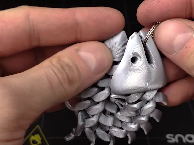 Mô hình cá 3D khớp nối linh hoạt - File in 3D đẹp mắt - Image 1