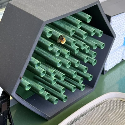Bienenhotel 2.0 “Mauer Rostrot” – Giúp ong hoang dã & nuôi dưỡng thiên nhiên