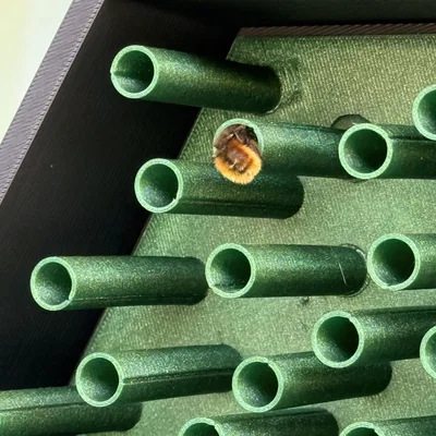 Bienenhotel 2.0 “Mauer Rostrot” – Giúp ong hoang dã & nuôi dưỡng thiên nhiên