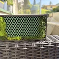 Bienenhotel 3.0 “Mauer Rostrot” – Giúp ong hoang dã & bảo vệ thiên nhiên - Thumbnail 1