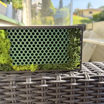 Bienenhotel 3.0 “Mauer Rostrot” – Giúp ong hoang dã & bảo vệ thiên nhiên
