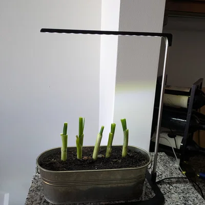 Đèn Grow Light LED (LED Grow Light)