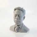 Tượng Bust Chân Dung Elon Musk (Celebrity Portrait) 3D Printable STL - Thumbnail 1