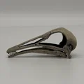 Hộp sọ Longiopteryx (Longiopteryx skull) tỉ lệ 1:1 - Thumbnail 1