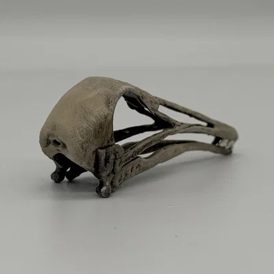 Hộp sọ Longiopteryx (Longiopteryx skull) tỉ lệ 1:1
